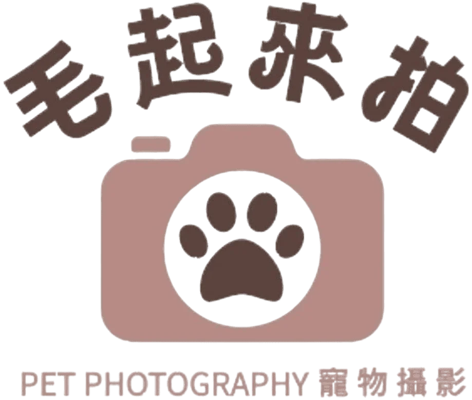 毛起來拍寵物攝影工作室